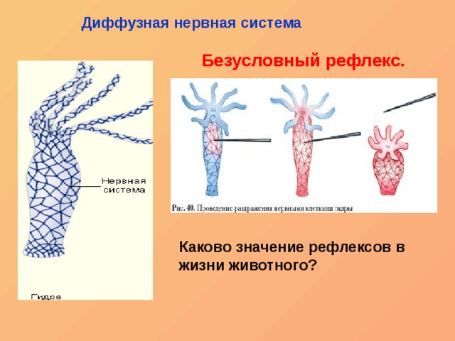 Кракен даркнет плейс