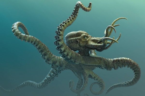 Kraken ссылка krakens13 at